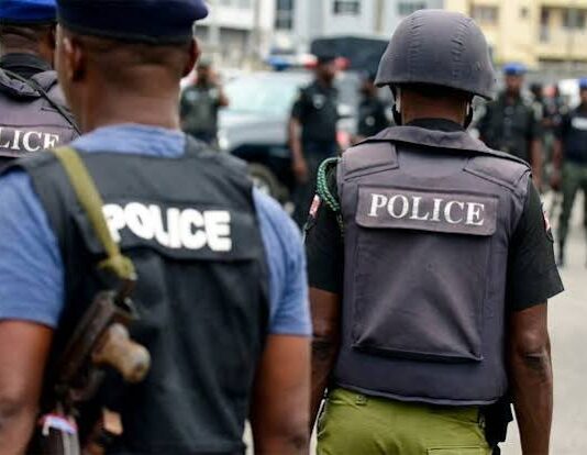 Tactical Success: Police Rescue Nine Kidnap Victims and Arrest 71 Suspects in Niger State