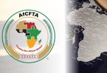 Nigerian Firm Secures Continental Customs Modernization Accord Under AfCFTA