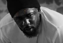 Kendrick Lamar Announces Surprise Stadium Performance at Los Angeles Festival