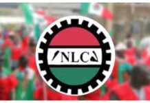 NLC Gives FCT Authorities Ultimatum Over Teachers’ Promotion Dispute