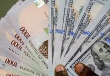 Naira Opens Around ₦1,326 to the Dollar in Official Market