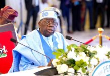 Tinubu Directs Timely Funding for Regional Development Commissions