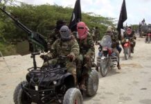 Boko Haram Attack Leaves 12 Dead in Adamawa Community