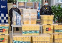 High-Profile Methamphetamine Syndicate Uncovered as Court Denies Bail to Foreign Suspects