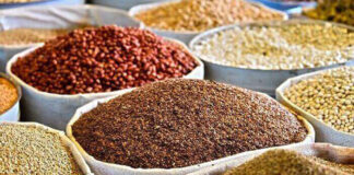 NESG Warns Raw-Material Export Pattern Is Limiting Nigeria’s Value Creation